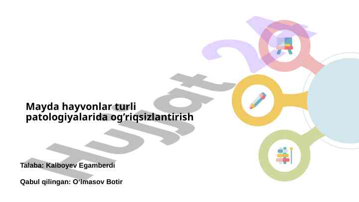 Kichik hayvonlar uchun anesteziya boshqarish tizimlari