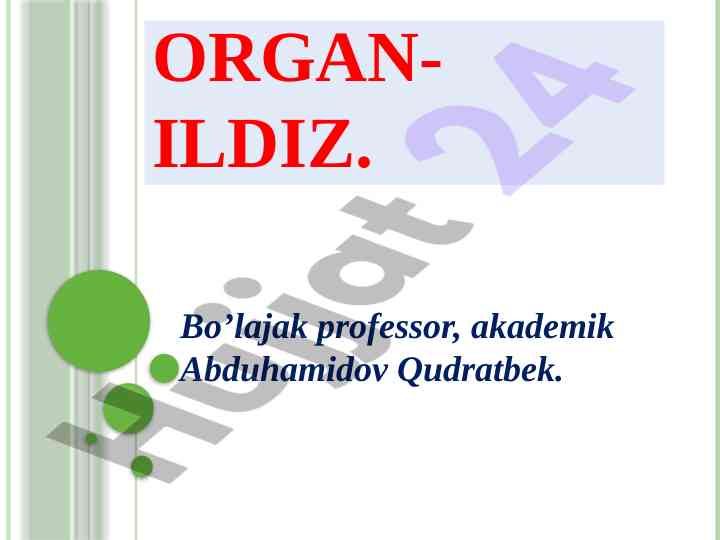 Vegetativ organlar va ildiz sistemasining o‘rni