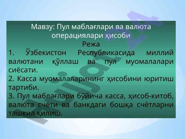 Pul mablag‘lari va valyuta operatsiyalari hisobi