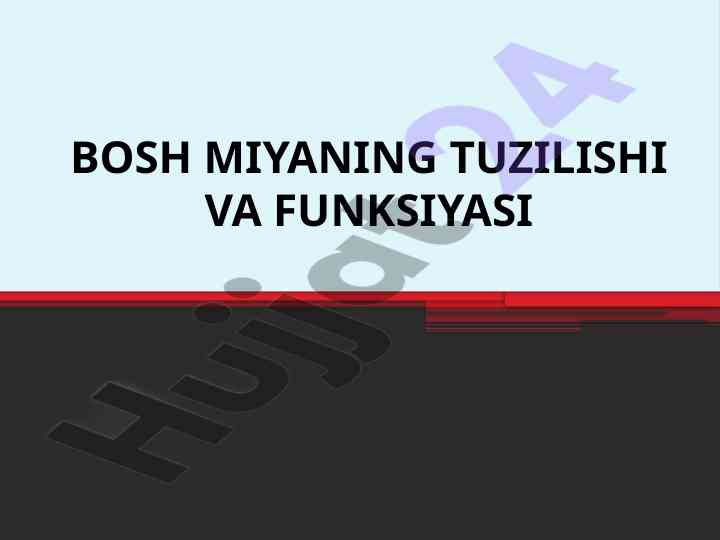 Bosh miyaning tuzilishi va funktsiyasi