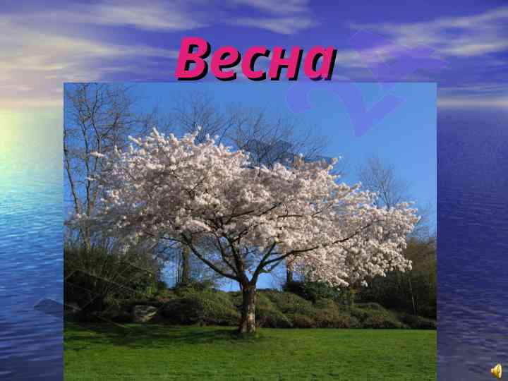 Первый весенний цветок и его особенности