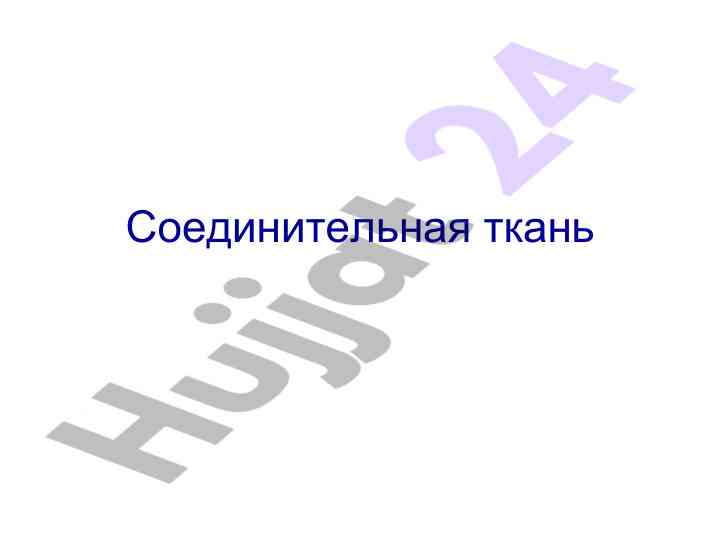 Соединительная ткань: основные характеристики и виды