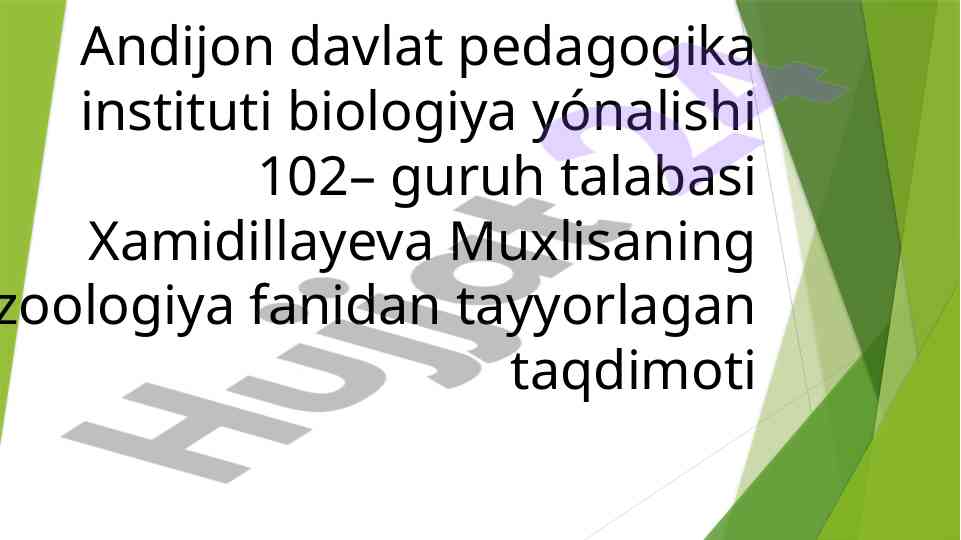 Zoologiya fanidan taqdimot tayyorlash