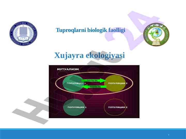 Tuproqlarni biologik faolligi va hujayra ekologiyasi
