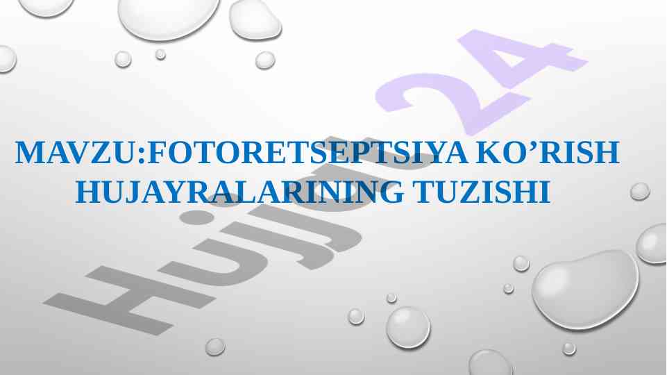 Fotoretseptsiya hujayralarining tuzilishi va ahammiyati