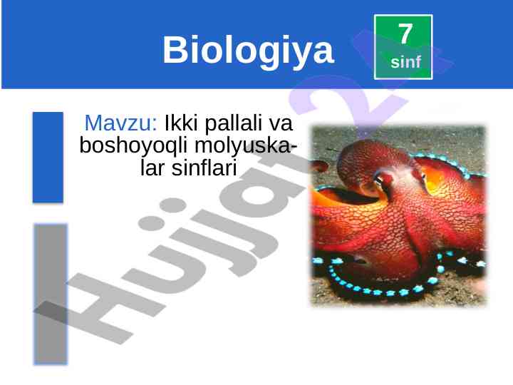 Ikki pallali molyuskalar sinflari tahlili