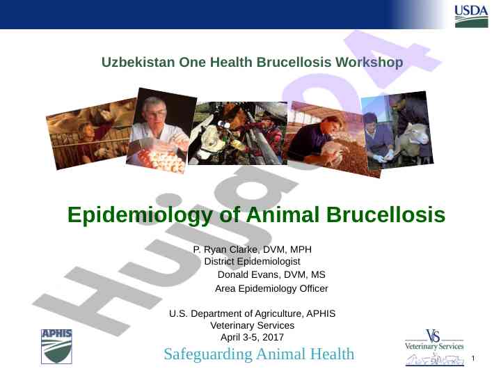 Brucellosis epidemiology and pathogenesis overview
