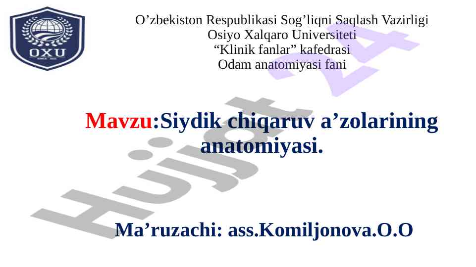 Siydik chiqaruv a'zolarining anatomiyasi