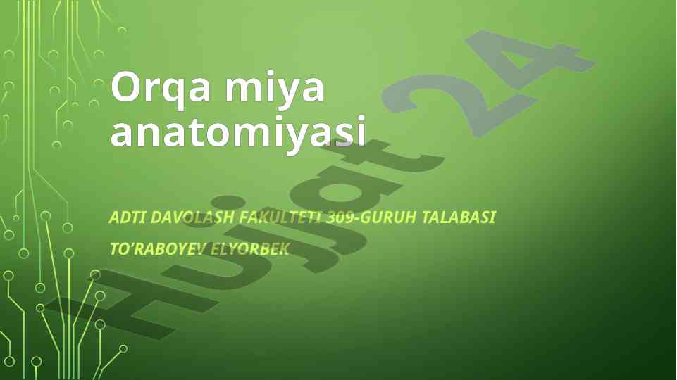 Orqa miya anatomiyasi va funksiyalari