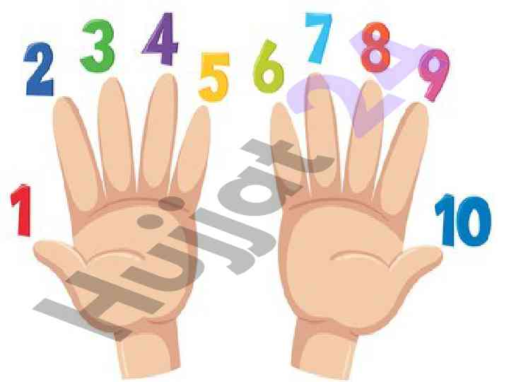 Sonlar tahliliga oid test savollari