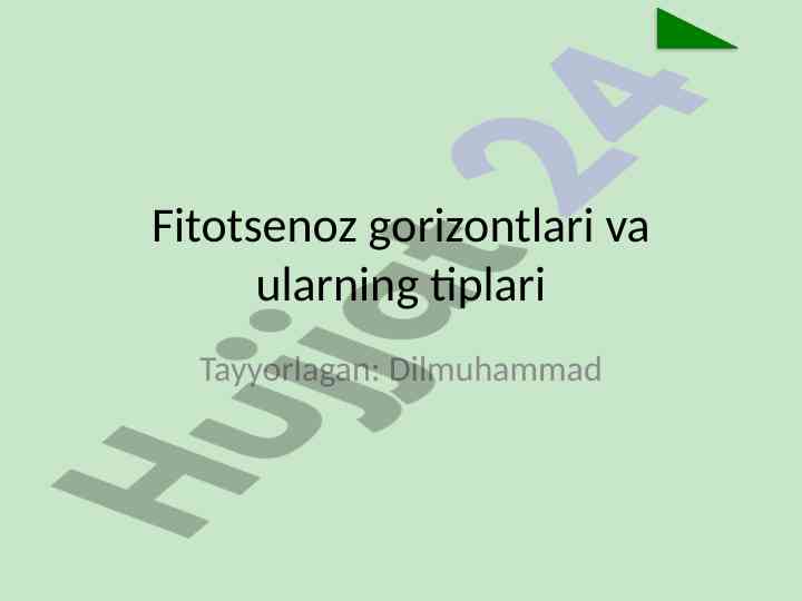 Fitotsenoz gorizontlari va ularning tiplari