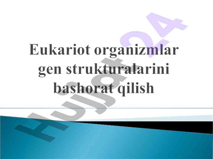 Eukariot organizmlar gen strukturalari va genetik axborot