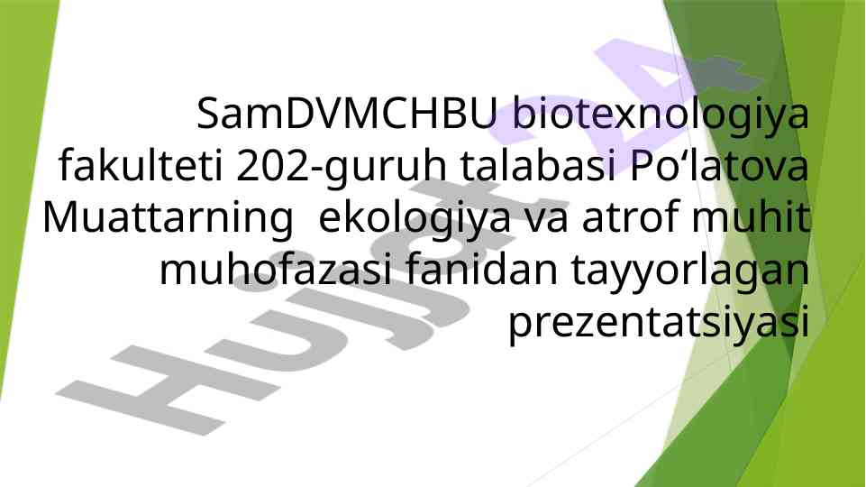 Ekotizimlarda organizmlar jamoasi va mahsuldorlik