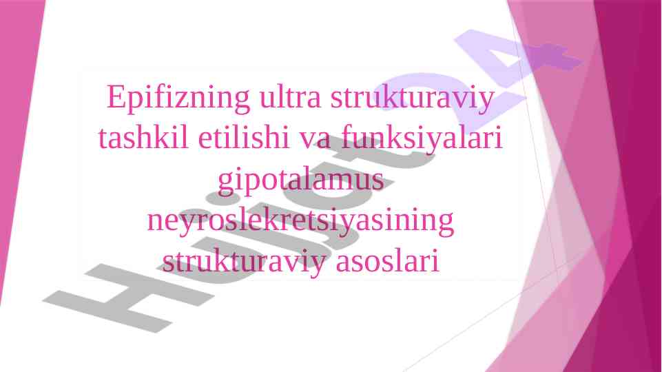Epifizning ultra strukturaviy tashkil etilishi va funksiyalari