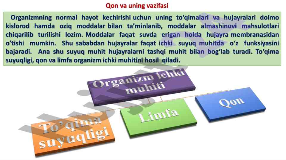 Qon va uning vazifalari haqida ma'lumotlar