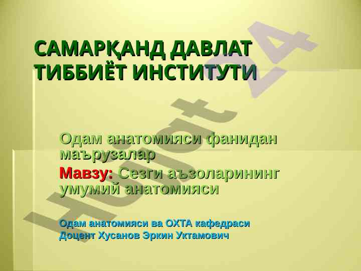 Odam anatomiyasi fanidan маърузалар сезги аъzolарининг aнatomiyasi