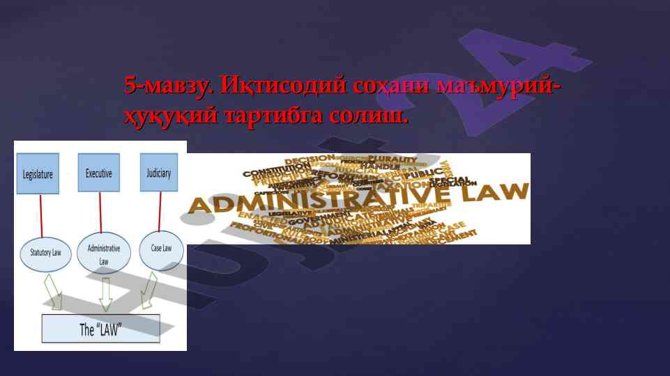 Иқтисодий соҳада маъмурий-ҳуқуқий тартибга солиш