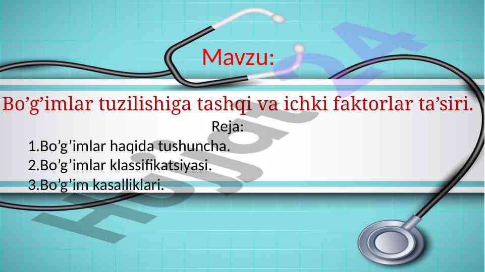 Bo’g’imlar tuzilishi va kasalliklar tahlili