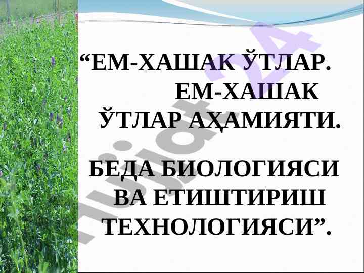 Em-xashak o'tlar biologiyasi va yetiishtirish tekhnologiyasi