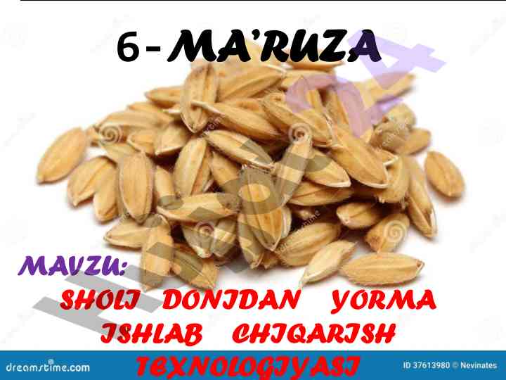 Sholi donidan yorma ishlab chiqarish texnologiyasi