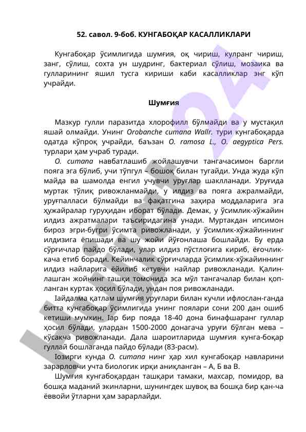 Kunqa boqar kasalliklari tahlili va tavsiyalari
