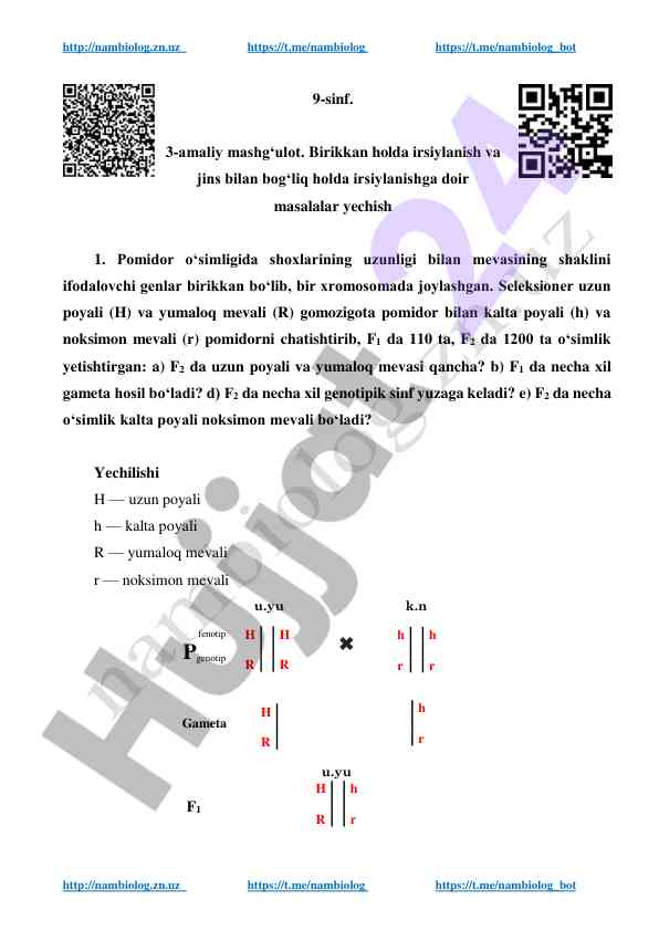 Pomidor o‘simligida irsiyning yoshadiv masalalari