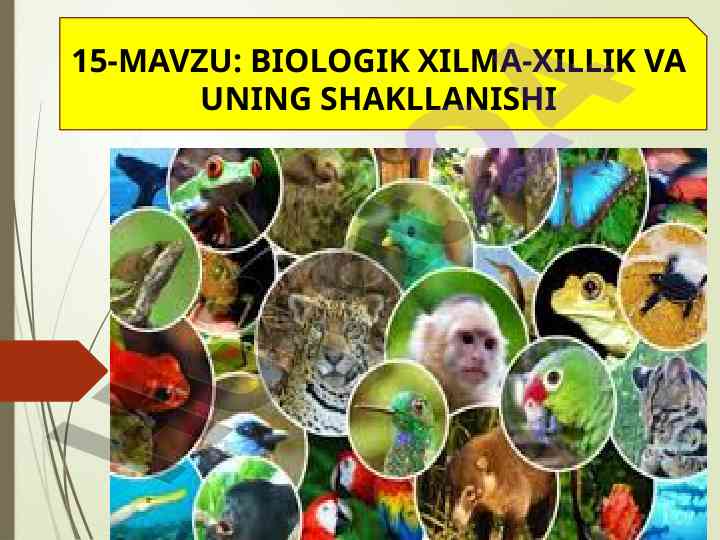 Biologik xilma-xillik va uning shakllanishi