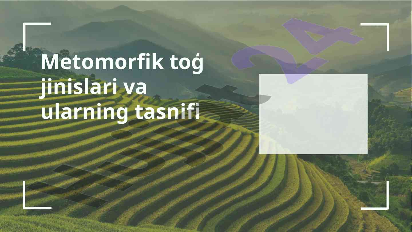Metomorfik toh jinislarining tasnifi va ahamiyati