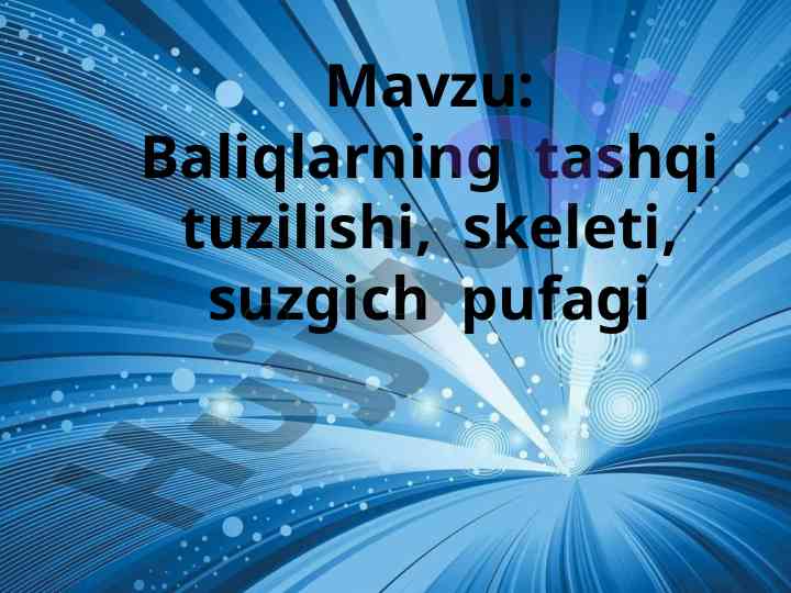 Baliqlarning tashqi tuzilishi va skeleti