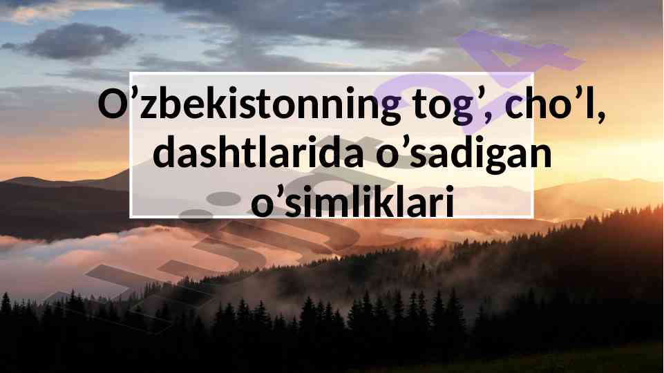 Tabiat resurslari va iqlim bilan bog'liq muammolar