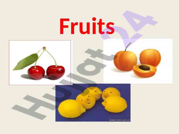 Nectarous and fresh fruits overview