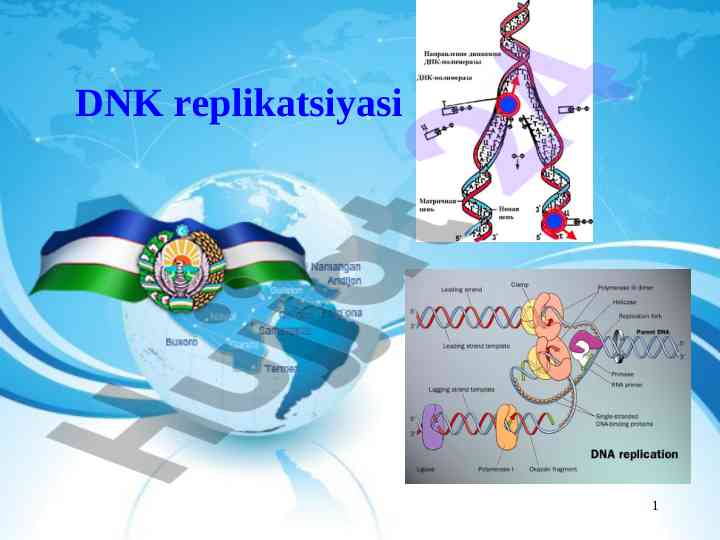 Dnk replikatsiyasi va uning mexanizmi