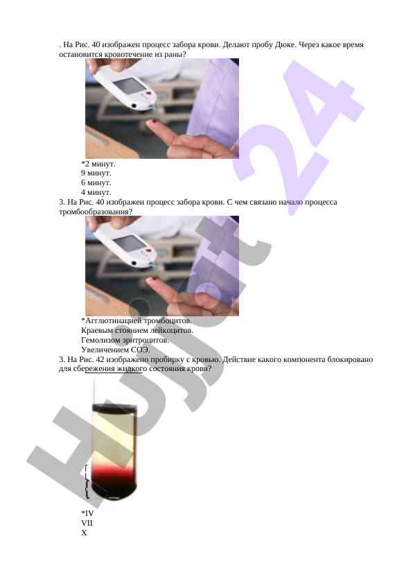 Protsess zabora krovi va ego fazalari