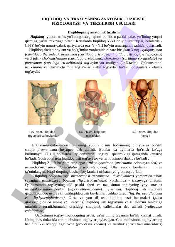 Hiqildoq va traxеyaning anatomik tuzilishi