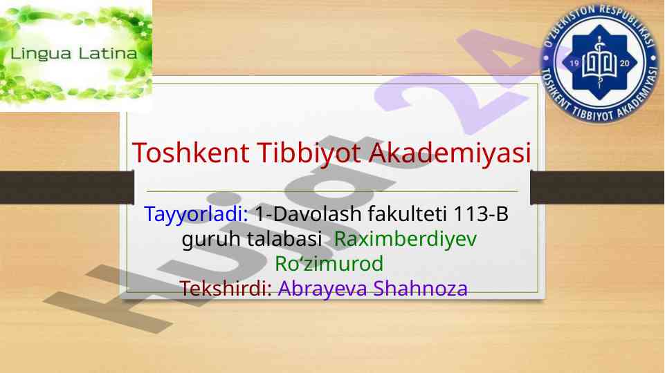 Rim raqamlari va ularning qo‘llanilishi