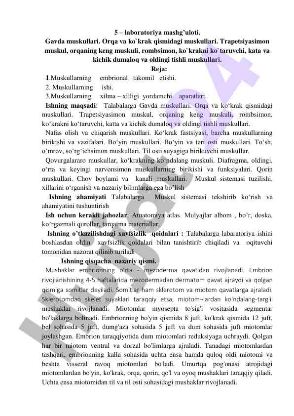 Gavda muskullari va ularning funksiyalari