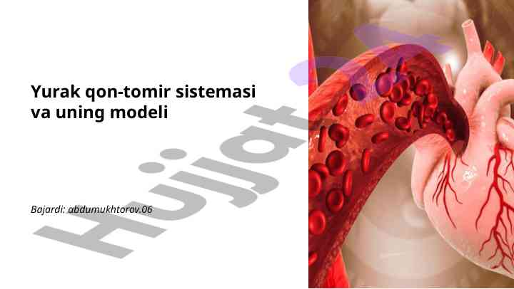 Yurak qon-tomir sistemasining asosiy asoslari