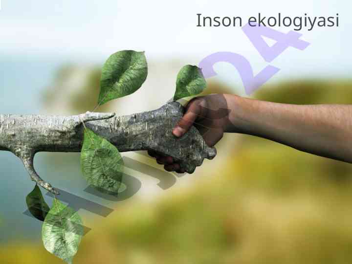 Inson ekologiyasi va antropoekologiya o‘rganish
