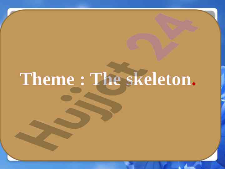The structure and function of the human skeleton