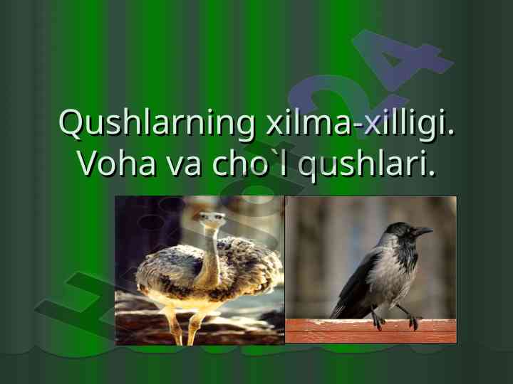 Qushlarning xilma-xilligi voha va cho`l qushlari