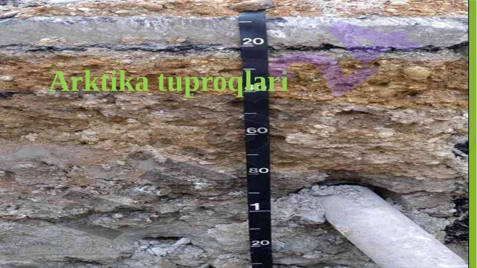 Arktika tuproqlari va kriogenezi tahlili