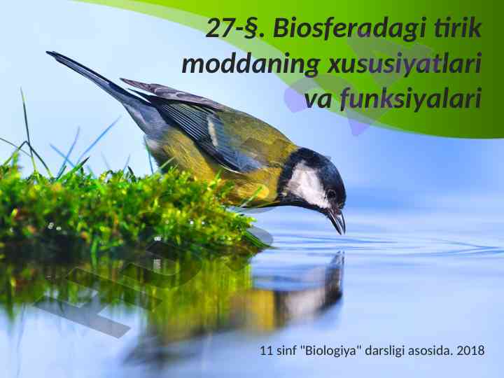 Biosferadagi tirik moddaning xususiyatlari va funksiyalari