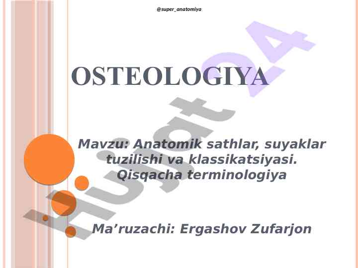 Anatomik sathlar va suyaklar tuzilishi