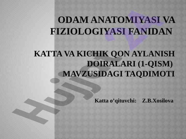 Katta va kichik qon aylanish doiralari taqdimoti