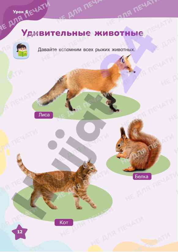 Уроки рыжих животных и рисования фруктов