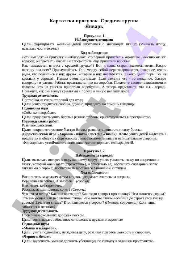 Наблюдение за птицами в средней группе