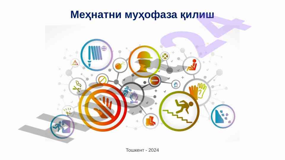 Меҳнатни муҳофаза қилиш бўйича ҳисобот 2024