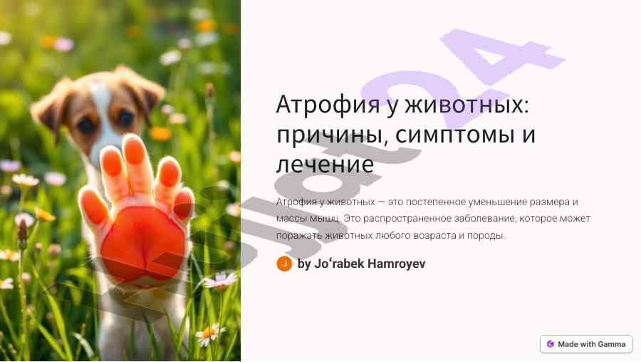 Атрофия у животных причины симптомы и лечение