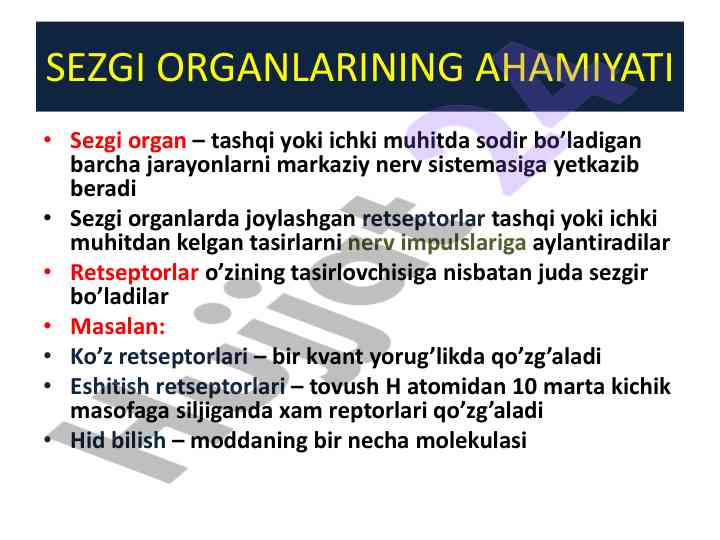 Sezgi organlarining ahmiyati va sensor sistema