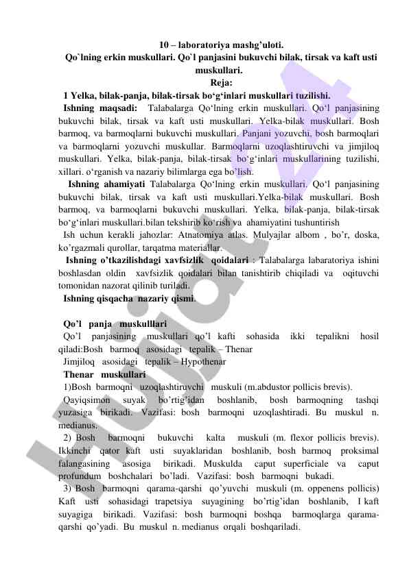Qo'lning erkin muskullari laboratoriya mashg'uloti